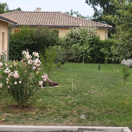 Le Rouge-gorge Du Pescofi Portet-sur-Garonne