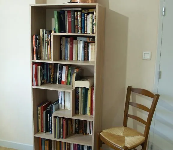 Le Rouge-gorge Du Pescofi